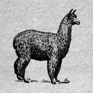 Llama T-Shirt